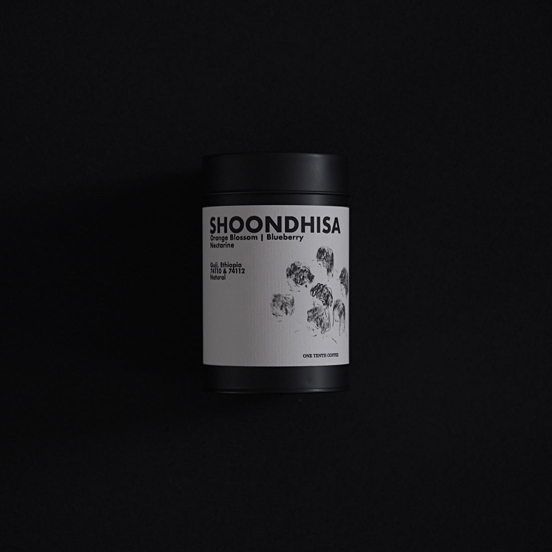 Artista Prefetto Selected Guest Coffee | Shoondisha, Ethiopia