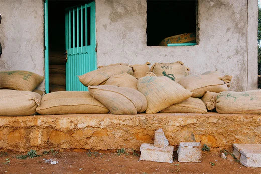 Mustefa Abakeno Beshasha, Ethiopia