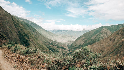 Yumbos Blend, Ecuador