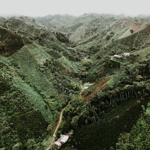 El Diviso, Colombia