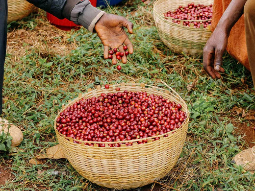 Arbegona, Ethiopia