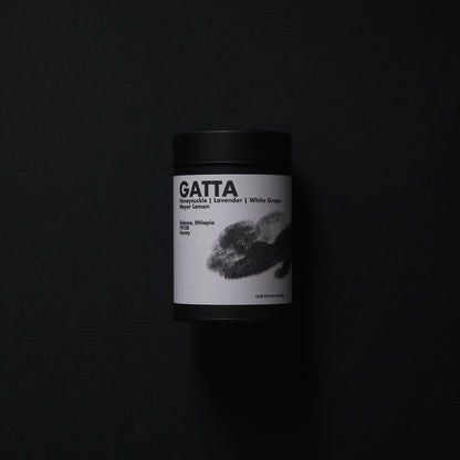 Gatta, Ethiopia - One Tenth Coffee