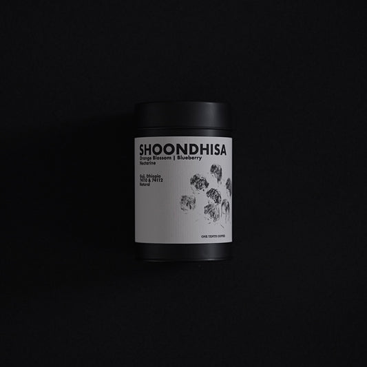 Artista Prefetto Selected Guest Coffee | Shoondisha, Ethiopia