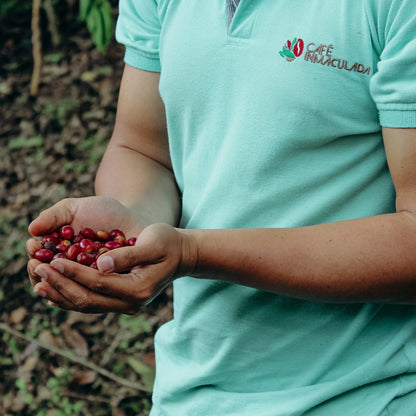 Colombia Inmaculada Fellow Anaerobic Natural