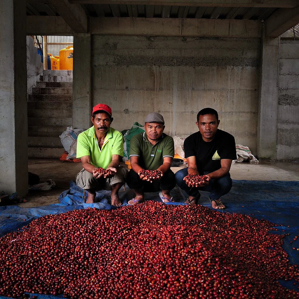 Indonesia Flores Mbohang Lot 4 Anaerobic Palm Juice Culture Natural